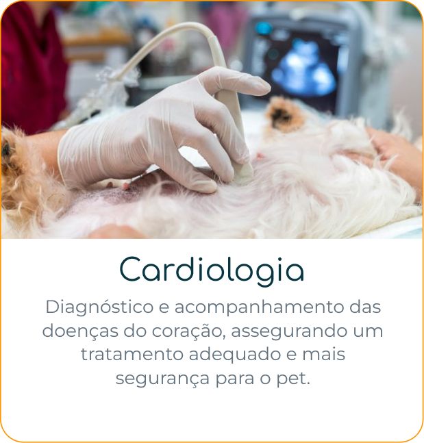 Cardiologia
